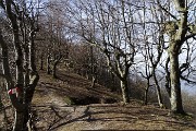 24 Al Forcolino sopra Ca' Donadoni (1206 m)